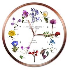 ANDES1 - Reloj De Pared Flores Desierto Atacama