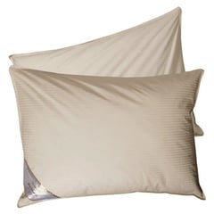 MASEL - Set 2 Almohadas Pluma Natural Florentino 50 X 70