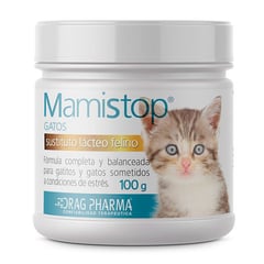 DRAG PHARMA - Mamistop Sustituto Leche Materna Gatitos, 100Gr