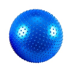 ORCUS - PELOTA PILATES ERIZO 65 CM