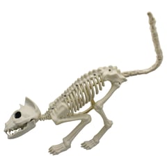 BIG PARTY - Esqueleto Gato 48x18 cm Halloween