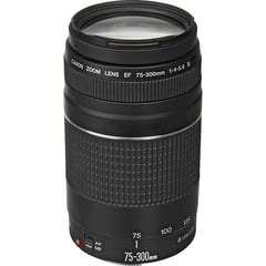 CANON - Lente EF 75-300mm f/4 5.6 III