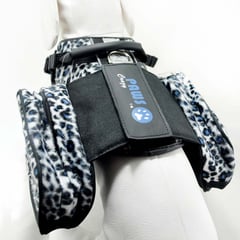 MASCAN - Mochila Desmontable Fashion Para Perro Azul XL