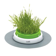 CATIT - Kit Germinador de Pasto Cat Grass