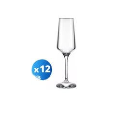 NADIR - Set 12 Copas de Champagne Espumante 225ml
