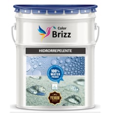 BAUM - SELLADOR HIDROREPELENTE COLORBRIZZ