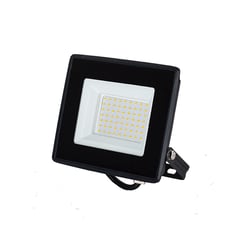 WANT - Foco Proyector De Área LED ECOSTREET 30W Cálido