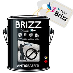 BAUM - Galon Anti graffiti colobrizz