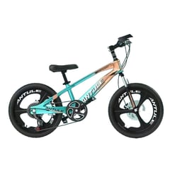 LUBABYCAS - Bicicleta Infantil 10-15 Años Aro 22 Verde