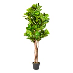 ARBUSTO REAL - Planta Artificial Ficus Premium LYRATA 180 cm. / 232 Hojas