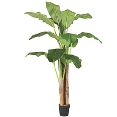 ARBUSTO REAL - Planta Artificial Banano Premium 180 Cm. / 14 Hojas /