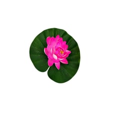 OEM - Flor de loto artificial tamaño grande Variedad de colores