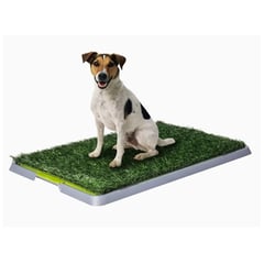 GENERICO - Baño Sanitario Perro XL Ecológico Perros Baño 68cm x 43Cm