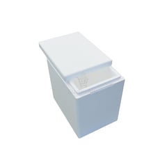 GENERICO - Caja De Plumavit De 9 litros (cooler)