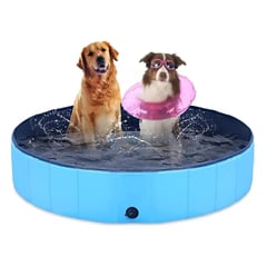 GENERICO - Piscina Resistente Para Mascotas 160 x 30 cm Petlandiachile