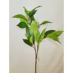 COREL - Rama Magnolia Verde 104cm