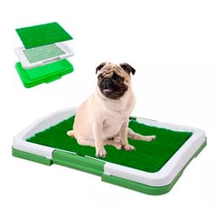 ESHOPANGIE - Baño Para Perros Y Gatos Ecológico 3 Niveles 46x33cm C/v