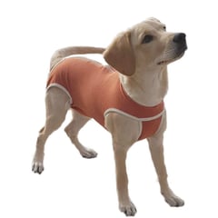 KIMBAPETS - Body Castracion Unisex Con Cobre Talla 2 - 3.5 a 4.5Kg