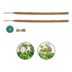 DEKANO - 2 Palos Tutor Musgo Flexible Para Plantas 100cm / Fibra Coco