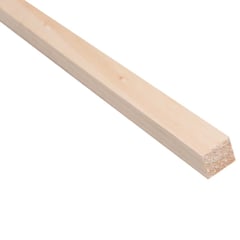 MULTIMARCA - Junquillo Pino Finger Natural 15 mm 1.5x150 cm