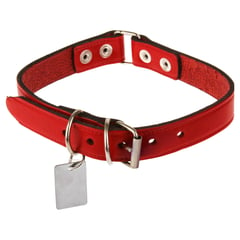 PETIZOOS - Collar para perro de cuero con placa