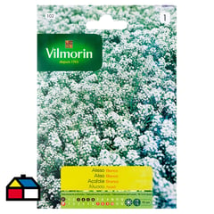 VILMORIN - Semilla flor aliso blanco 1 gr sachet