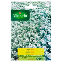 VILMORIN - Semilla flor aliso blanco 1 gr sachet