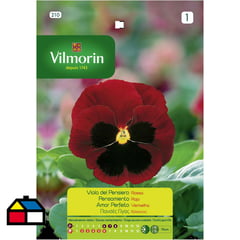 VILMORIN - Semilla flor pensamiento rojo 0,5 gr sachet