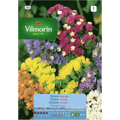 VILMORIN - Semilla flor statice simiata 0,5 gr sachet