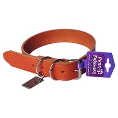 PETIZOOS - Collar para perro de cuero