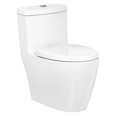 BRIGGS - Sanitario One piece a Piso 30,5 cm 6 Litros Fonte blanco