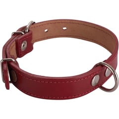 PETIZOOS - Collar para perro 50x2,5 cm de suela rojo