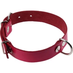 PETIZOOS - Collar de suela de 50x2,5 cm color fucsia