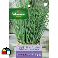 VILMORIN - Semilla ciboulette 1 gr sachet