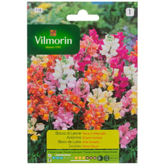 VILMORIN - Semilla flor perrito enana 0,6 gr sachet