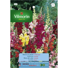 VILMORIN - Semilla flor perrito gigante 0,6 gr sachet