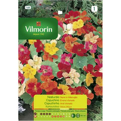 VILMORIN - Semilla flor capuchina enana 5 gr sachet