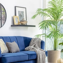 JUST HOME COLLECTION - Planta artificial Palmera 170 cm