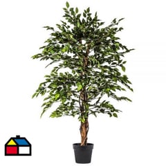 THE GARDEN - Mini ficus 140 cm Verde