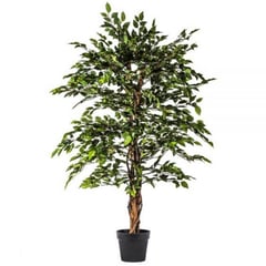 THE GARDEN - Mini ficus 140 cm Verde