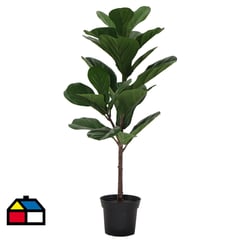 JUST HOME COLLECTION - Planta artificial ficus lirata 83