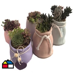 FEROXCACTUS - Arreglo cerámico deco CT9 variedad