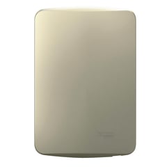 SCHNEIDER ELECTRIC - Placa Miluz ciega con soporte dorado