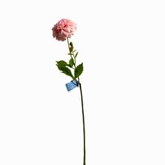 FLORACENTER - Dalia spray artificial 45cm rosado